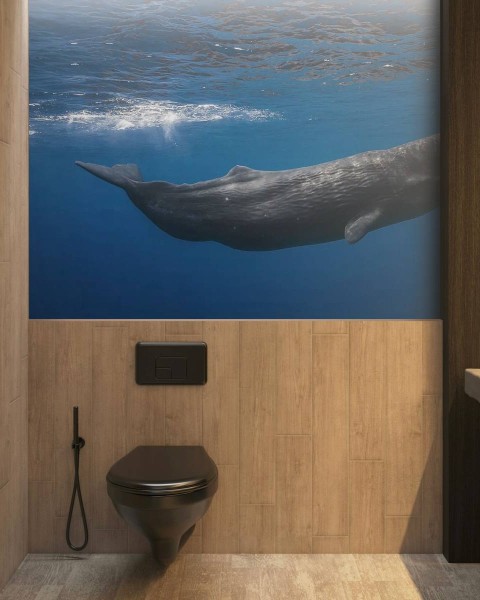 MARBURG | Ocean Sperm Whale